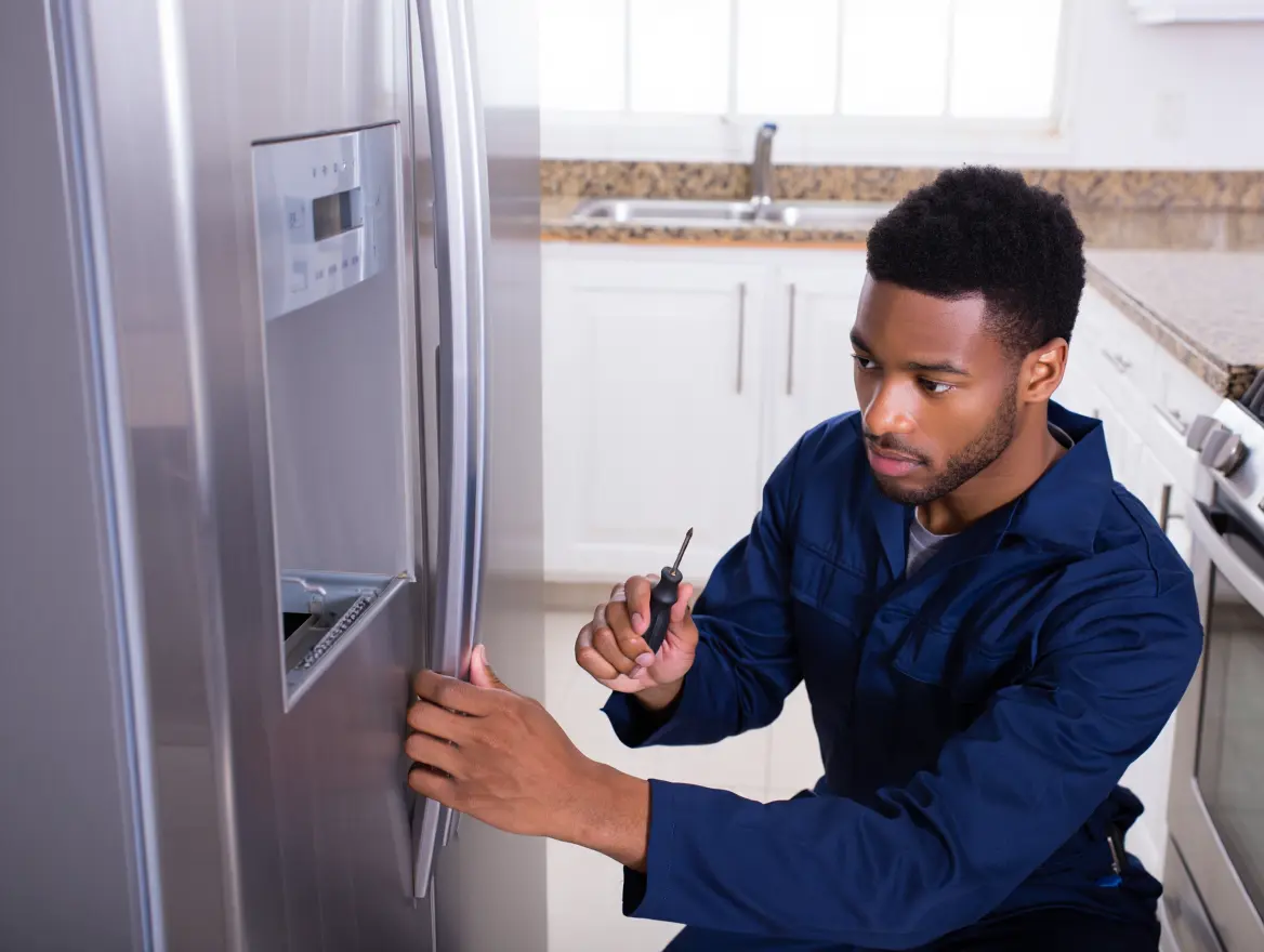 Professional Refrigerator Repair Service